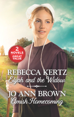 jo ann brown's an amish homecoming 2in1