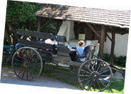 amish wagon