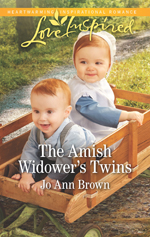 jo ann brown's the amish widower's twins
